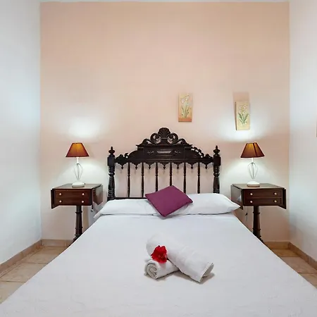 Casa Barreto プエルト・デ・ラ・クルス